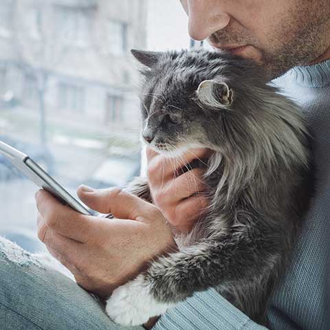 A cat being held while their human makes an appointment