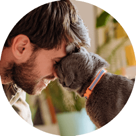 Cat and man cuddling